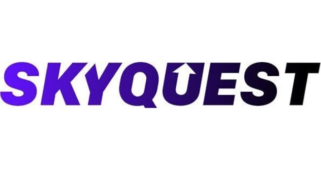 Security Drives USD 16753.39 Million Surge by 2031| SkyQuest Technology