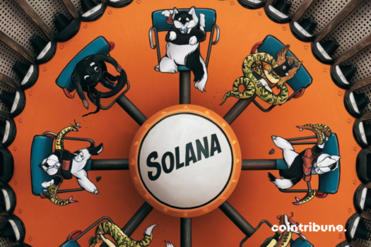 Solana Establishes New Records with its Memecoins